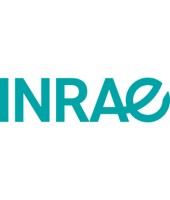 INRAE