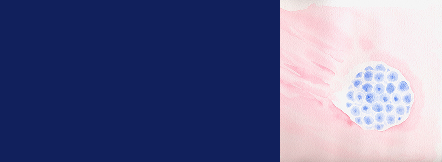 focusanne-le-goff-22-mai.png