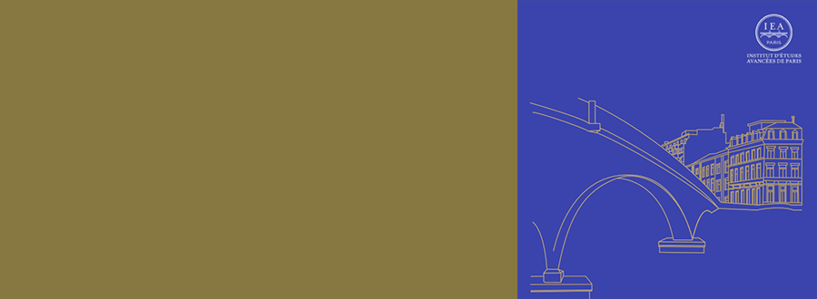 focus-brochure.png